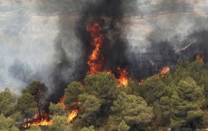 آتش‌سوزی جنگل