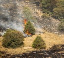 آتش‎سوزی‎ عرصه‎های طبیعی