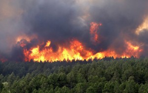 آتش سوزی جنگل‌