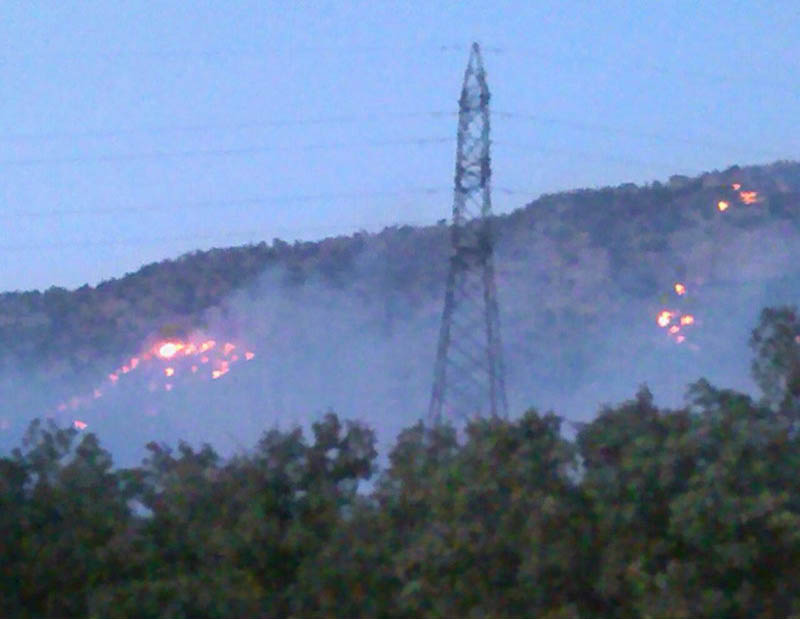 شعله‌های سوزان آتش در جنگل‌های ایلام
