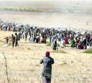 درخواست کمک صدها کرد سوری گرفتار میان داعش و ترکیه