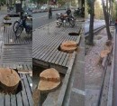 سوگواره‌ای برای درختان خیابان ولیعصر